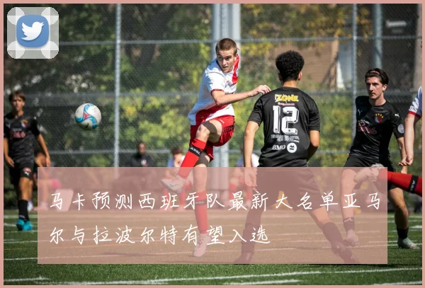 马卡预测西班牙队最新大名单亚马尔与拉波尔特有望入选