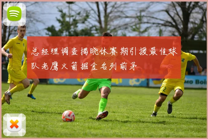 总经理调查揭晓休赛期引援最佳球队老鹰火箭掘金名列前茅