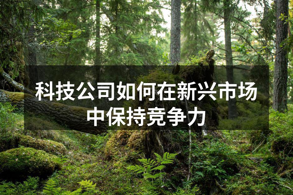 科技公司在新兴市场的竞争策略